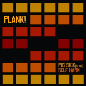 PLANK! Self Harm
